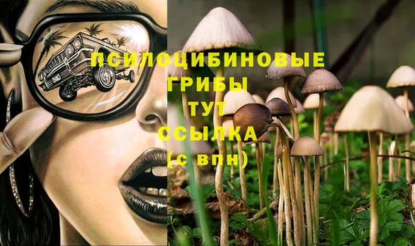 гидра Пестово