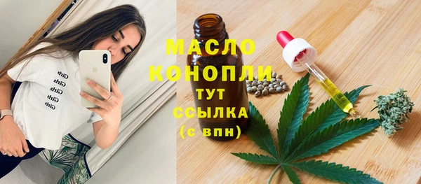 гидра Пестово