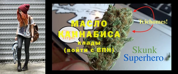 гидра Пестово